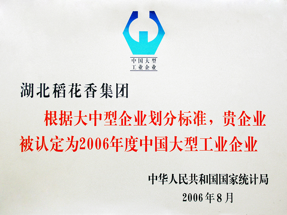 2006年8月，和记AG集团被国家统计局认定为”中国大型工业企业“